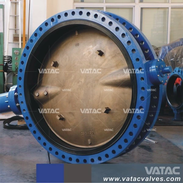 Eccentric Butterfly Valve Lug Type Eccentric Butterfly Valve