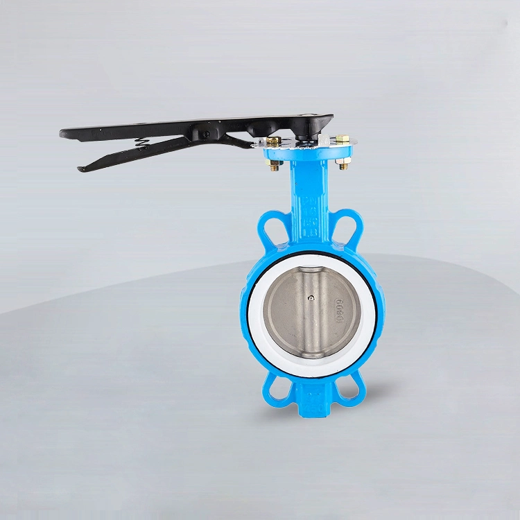 Wcb 304 316 JIS DIN ANSI Handle Manual Center Line Ductile Cast Iron SS304 PTFE Lined Seat Wafer Butterfly Valve